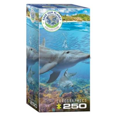 Red planeten: Delfiner, 250 brikker