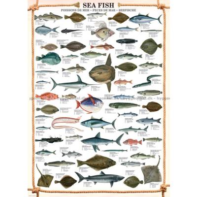 Billede af Fisk i havet, 1000 brikker