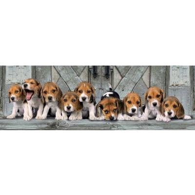 Billede af Beagles - Panorama, 1000 brikker