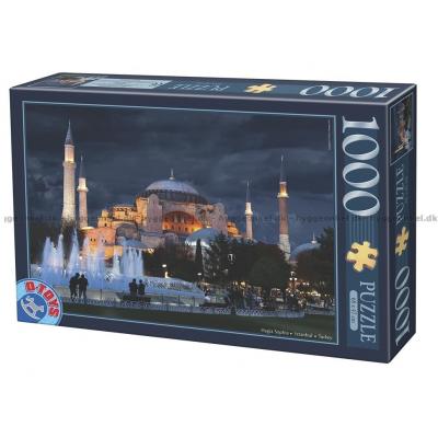 Tyrkiet: Hagia Sophia, Istanbul, 1000 brikker