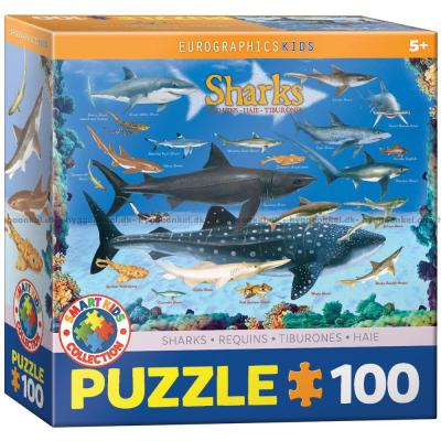 Hajer, 100 brikker