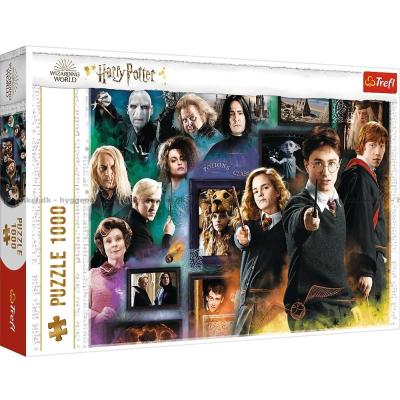 Harry Potter: Troldmands verden, 1000 brikker