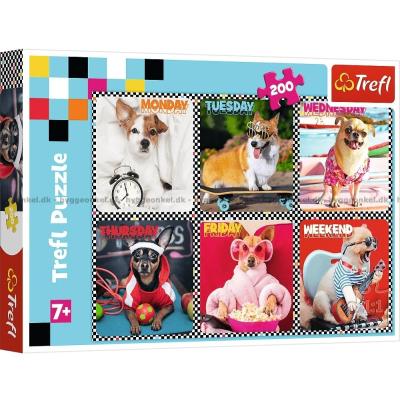 Hunde hele ugen, 200 brikker