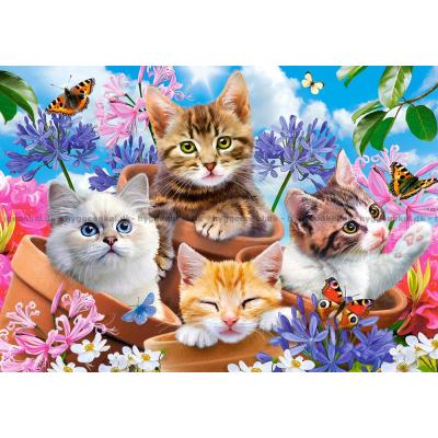 Billede af Robinson: Katte og blomster, 500 brikker