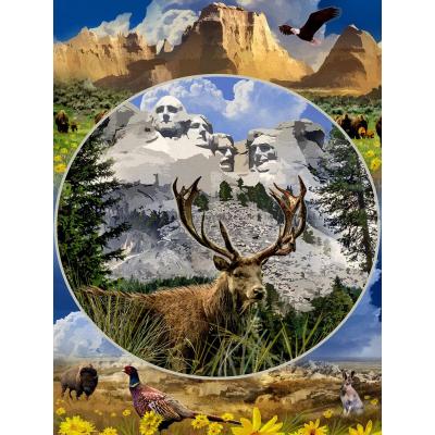Mount Rushmore, USA, 1000 brikker