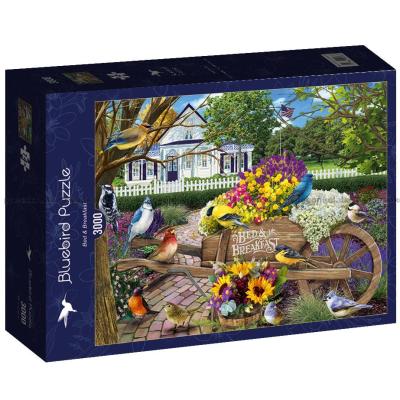 Bed & Breakfast, 3000 brikker