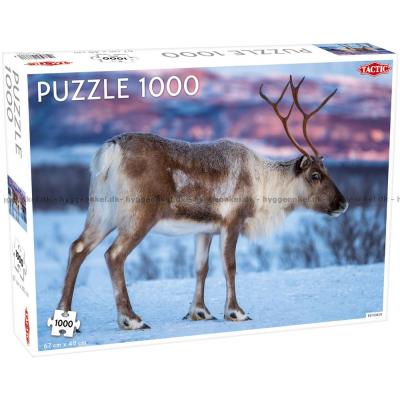 Rensdyret, 1000 brikker