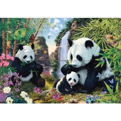 Billede af Read: Pandaer ved vandfaldet, 500 brikker