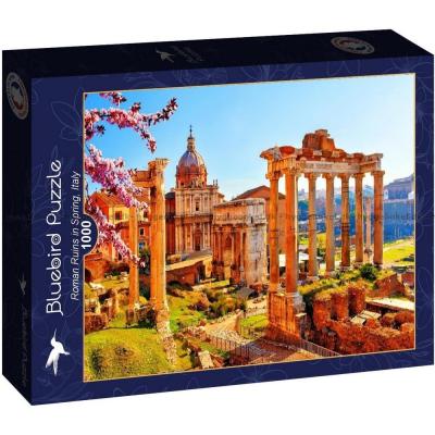 Rom: Forum Romanum, Italien, 1000 brikker