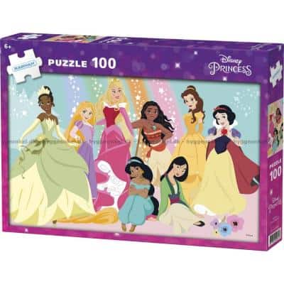 Disney prinsesser, 100 brikker
