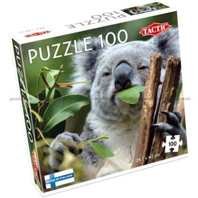 Koala: Spisetid, 100 brikker