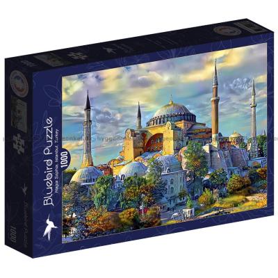 Gavidia: Hagia Sophia, Istanbul, 1000 brikker