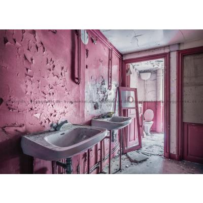 Glemte steder: Det lyserøde badeværelse, 1000 brikker