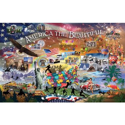 USA: Collage, 1000 brikker