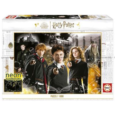 Harry Potter - Lyser i mørke, 1000 brikker