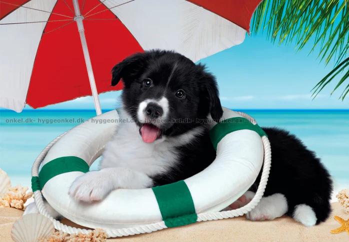 Hunden på stranden, brikker puslespil, Clementoni 25741 -