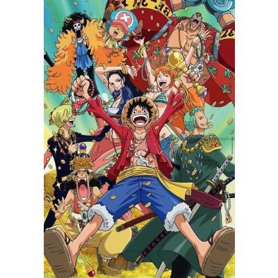 One Piece, 1000 brikker