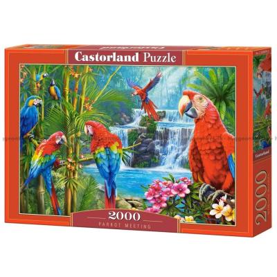Farverige papegøjer, 2000 brikker