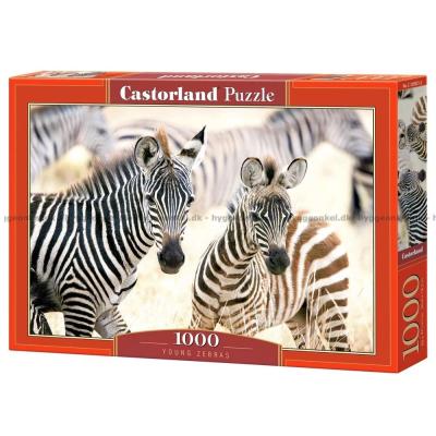 Zebraer, 1000 brikker