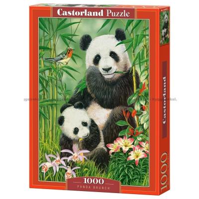 Panda Brunch, 1000 brikker