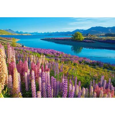 Billede af Lake Tekapo, New Zealand, 500 brikker