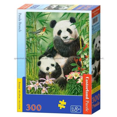 Panda Brunch, 300 brikker