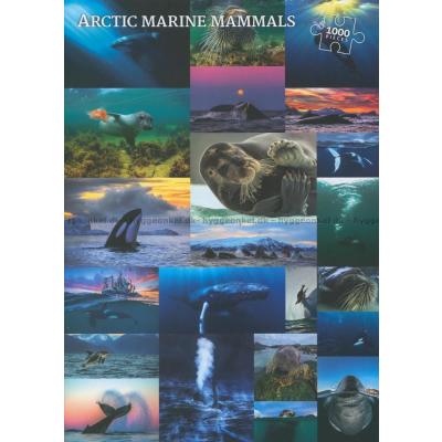 Arktiske havpattedyr - Collage, 1000 brikker
