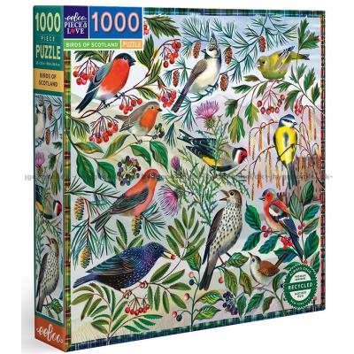 Barrington: Fugle, 1000 brikker