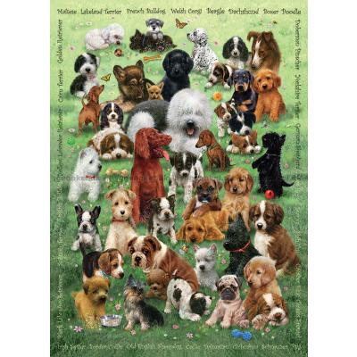 Billede af Giordano: Hunde - Collage, 350 brikker