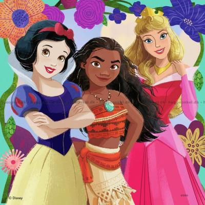 Billede af Disney prinsesser, 3x49 brikker
