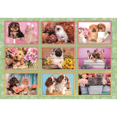 Billede af Hunde og katte - Collage, 180 brikker