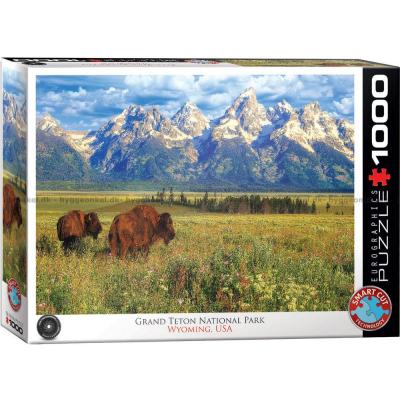 USA: Grand Teton National Park, 1000 brikker