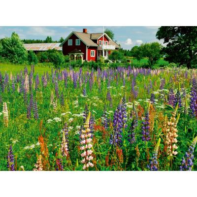 Billede af Ødegård i Sverige, 500 brikker