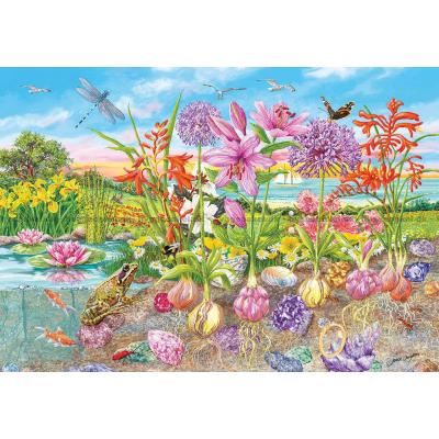 Billede af Daughters: Blomsterløg og rodfrugter, 4x500 brikker