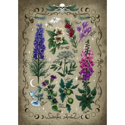 Billede af Giftige planter, 1000 brikker