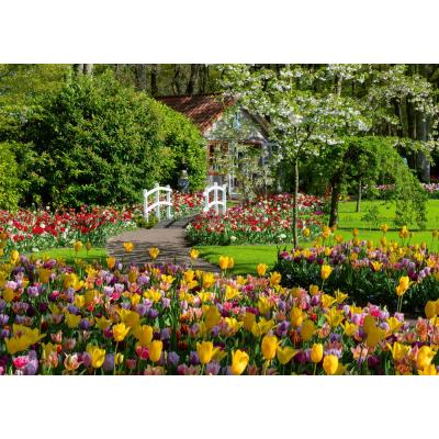 Billede af Holland: Keukenhof blomsterpark, 1000 brikker