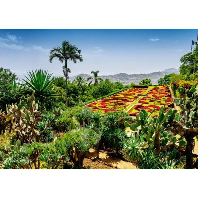 Billede af Portugal: Den botaniske have på Madeira, 1000 brikker