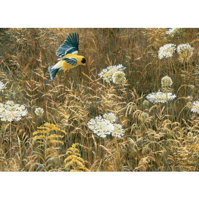 Billede af Bateman: Fuglen mellem vilde planter, 500 brikker