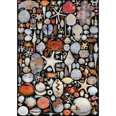 Billede af Collage: Strandfund, 1000 brikker