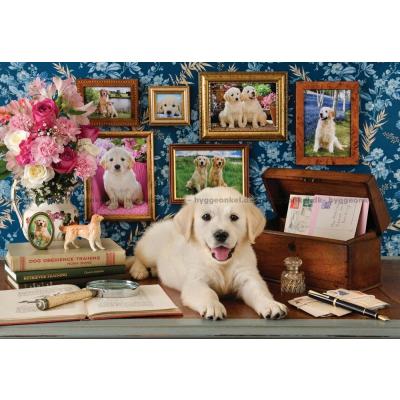 Billede af Cuddiford: Labrador, 500 brikker