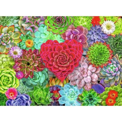 Billede af L. Stewart: Succulenter - Kærlighed, 500 brikker