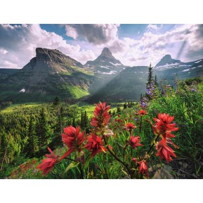 Billede af Hefele: USA - Glacier National Park, Montana, 2000 brikker
