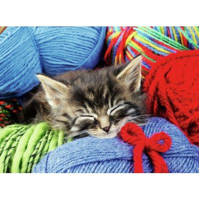 Billede af Katten blandt garnnøglen, 100 brikker