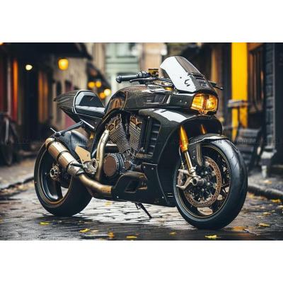 Billede af Motorcyklen på gaden, 500 brikker