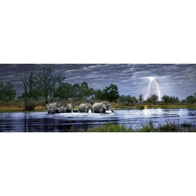 Billede af Humboldt: Flok af elefanter - Panorama, 2000 brikker