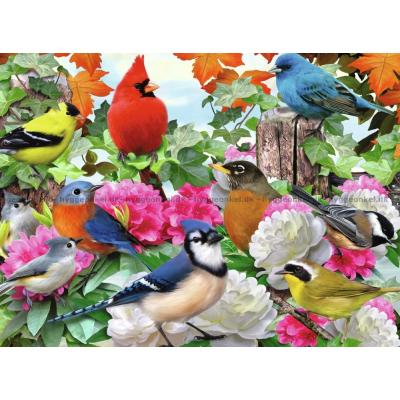 Billede af Robinson: Fuglesang i naturen, 500 brikker