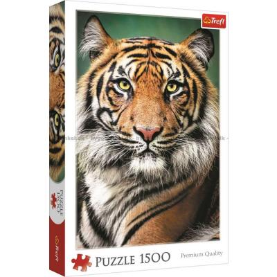 Tigerens blik, 1500 brikker