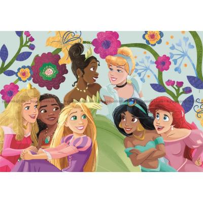 Billede af Disney prinsesser, 2x60 brikker