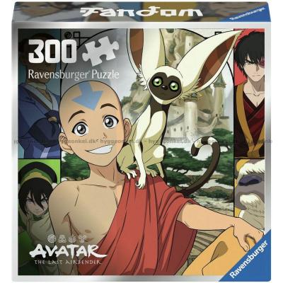 Avatar The Last Airbender, 300 brikker