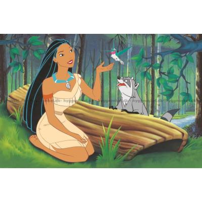 Billede af Disney: Pocahontas, 600 brikker